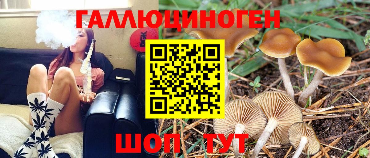 Псилоцибиновые грибы GOLDEN TEACHER  Псилоцибиновые грибы прущие грибы  Каменка  Вход с VPN 